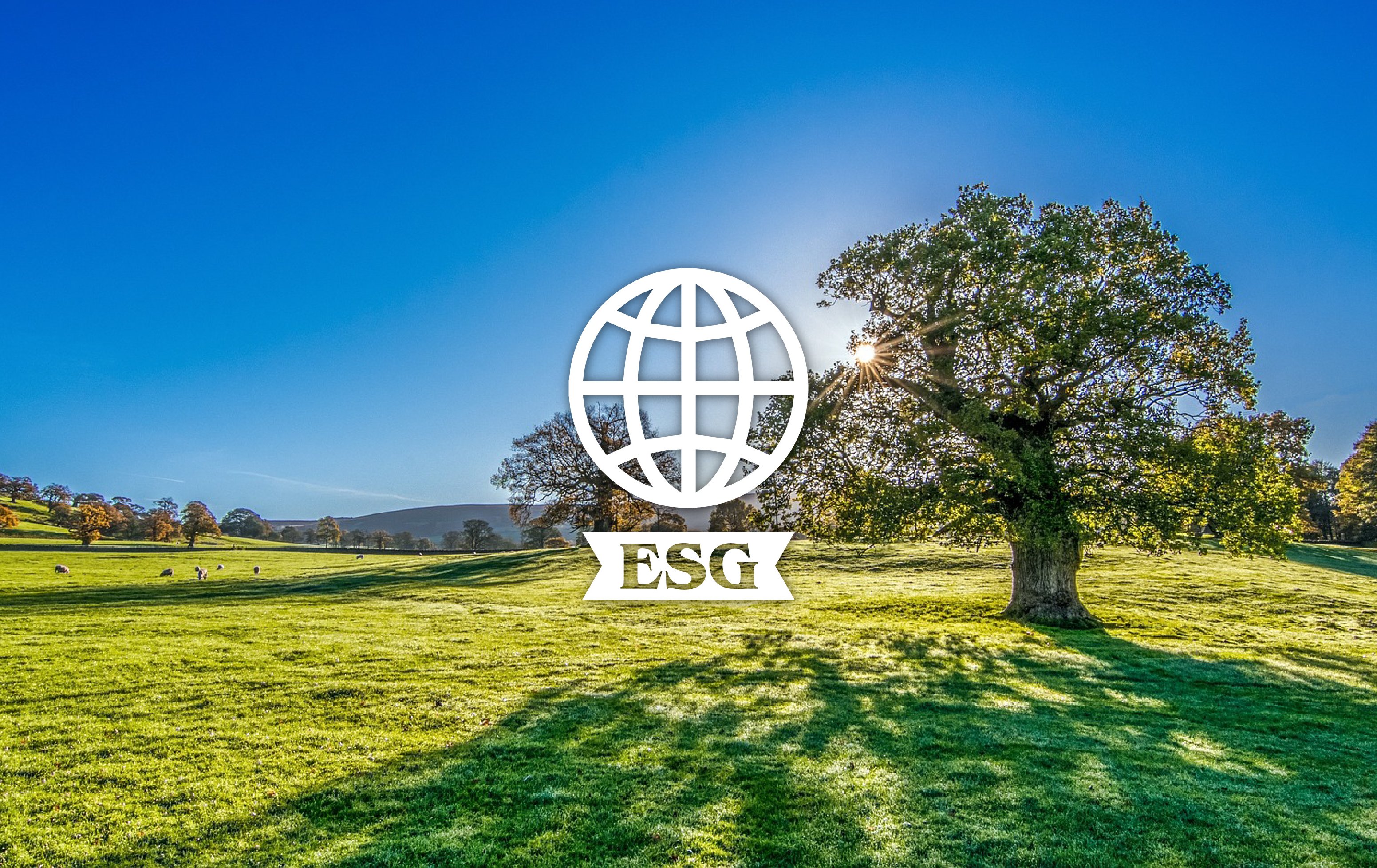 企業ESG碳盤查方案